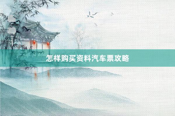 怎样购买资料汽车票攻略