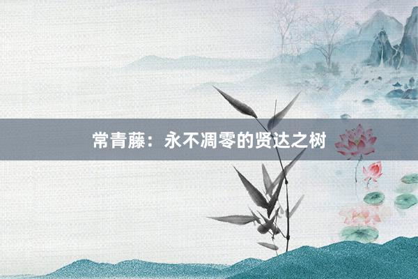 常青藤：永不凋零的贤达之树