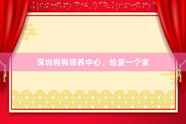 深圳狗狗领养中心，给爱一个家